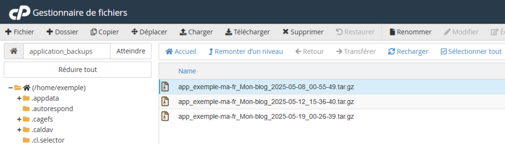 Gestionnaire de fichiers