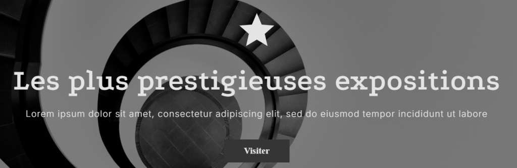 SiteJet Builder : Icône placée